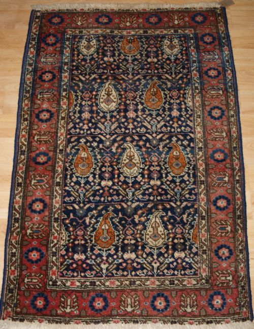 Antique Kurdish Hamadan Village Rug with Shrub Design, Small Size, Circa 1900.
