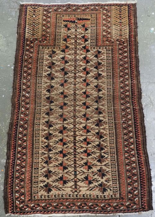 Antique Baluch Camel Ground Prayer Rug with Tree of Life. Circa 1880.