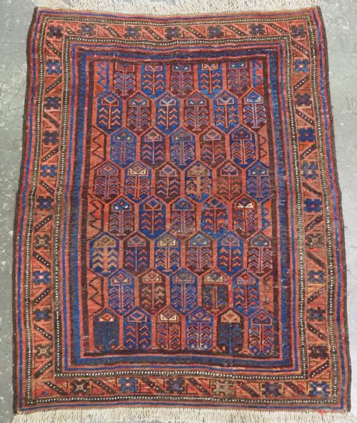 Antique Timuri / Baluch Rug with Shrub Design, Western Afghanistan, Circa 1880.