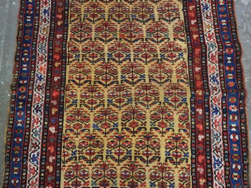 ANTIQUE KURDISH RUG WITH SHRUB DESIGN ON A YELLOW GROUND BEAUTIFUL RUG CIRCA 1900 - ADDITIONAL PHOTO 2