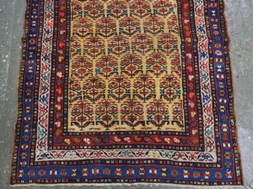 ANTIQUE KURDISH RUG WITH SHRUB DESIGN ON A YELLOW GROUND BEAUTIFUL RUG CIRCA 1900 - ADDITIONAL PHOTO 3