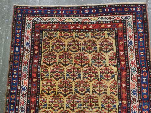 ANTIQUE KURDISH RUG WITH SHRUB DESIGN ON A YELLOW GROUND BEAUTIFUL RUG CIRCA 1900 - ADDITIONAL PHOTO 5