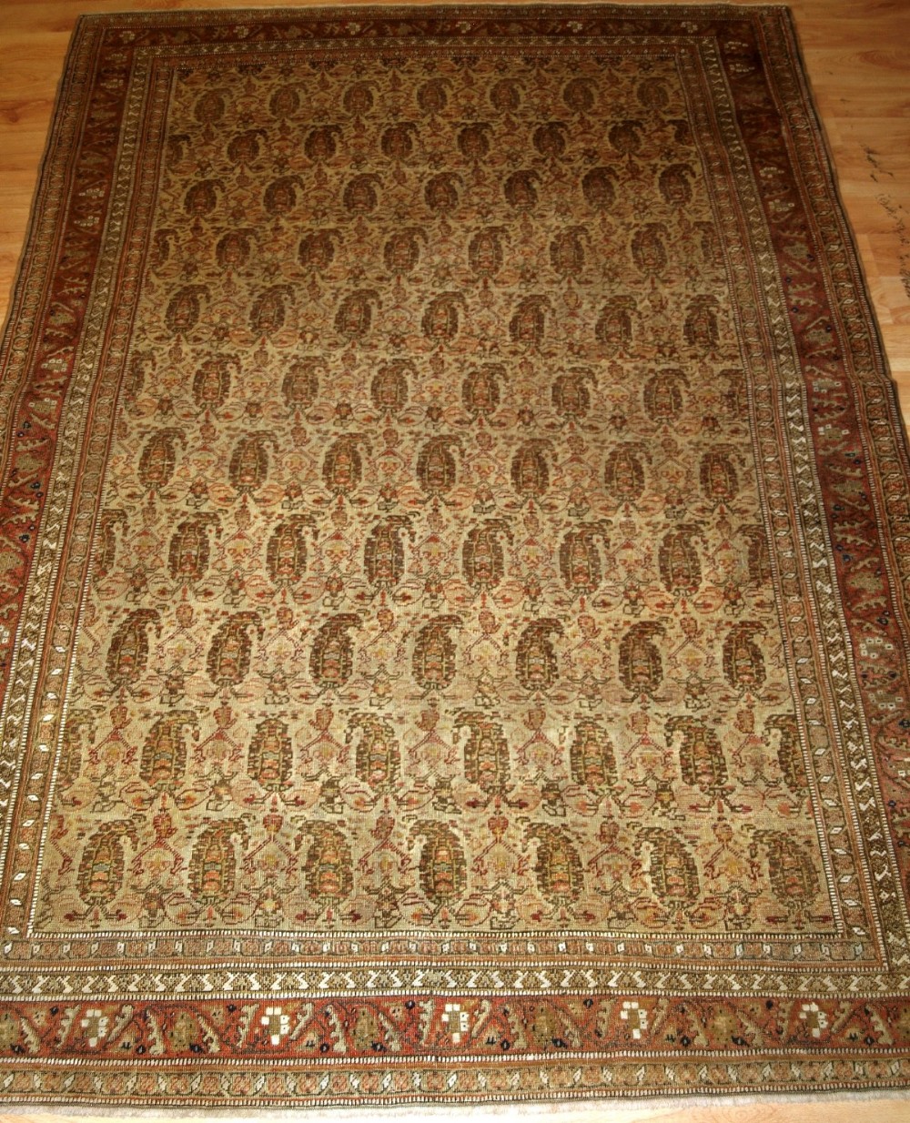 ANTIQUE SENNEH RUG, IVORY GROUND WITH BOTEH, VERY FINE, CIRCA 1900