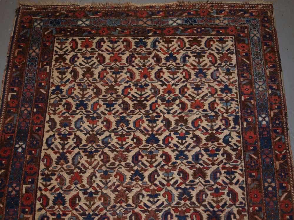 ANTIQUE PERSIAN AFSHAR RUG, KERMAN REGION, ALL OVER DESIGN, CIRCA 1900. View V