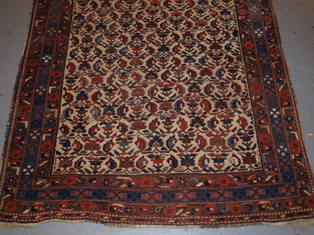 ANTIQUE PERSIAN AFSHAR RUG, KERMAN REGION, ALL OVER DESIGN, CIRCA 1900. View VI