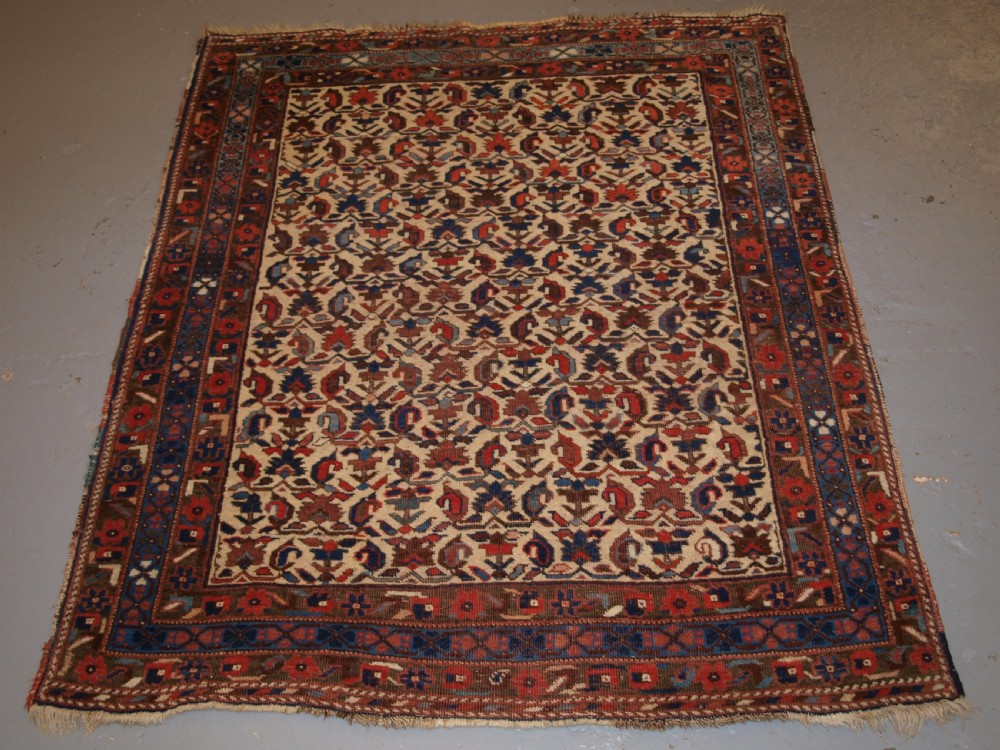 ANTIQUE PERSIAN AFSHAR RUG, KERMAN REGION, ALL OVER DESIGN, CIRCA 1900. View XI