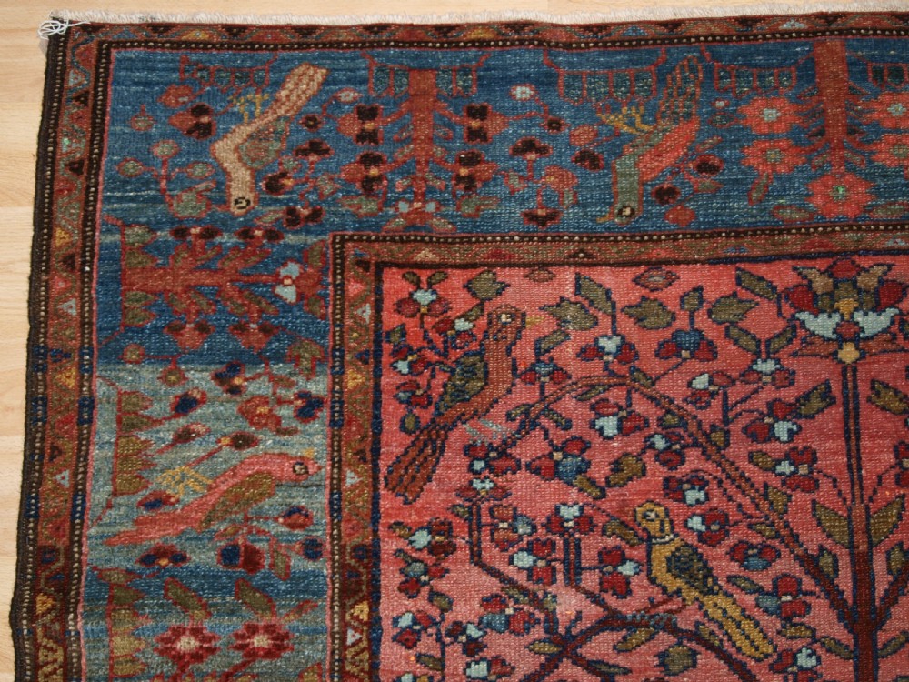 OLD NORTH WEST PERSIAN HAMADAN RUG, PARADISE GARDEN DESIGN, TREE WITH BIRDS, CIRCA 1920. View IV