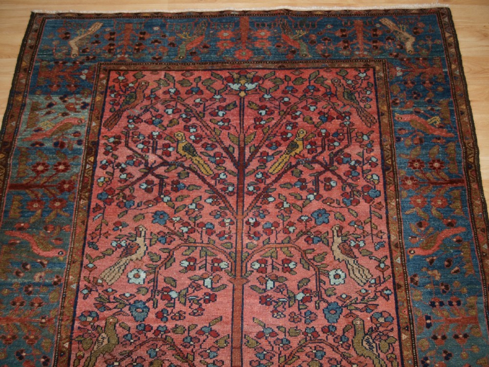 OLD NORTH WEST PERSIAN HAMADAN RUG, PARADISE GARDEN DESIGN, TREE WITH BIRDS, CIRCA 1920. View VII