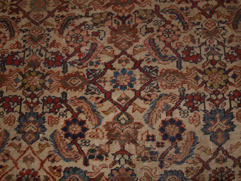 An antique Persian Mahal wool carpet featuring an all-over floral lattice pattern on an ivory ground, framed by a wide terracotta and navy border. View XII