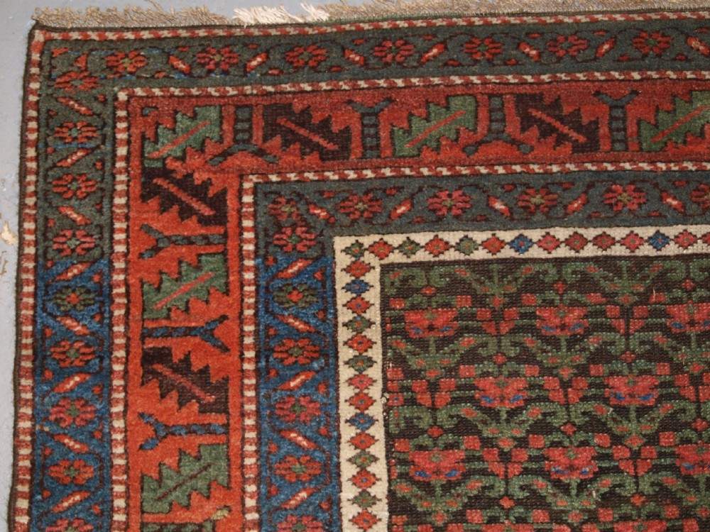 ANTIQUE KURDISH LONG RUG WITH ALL OVER SHRUB DESIGN, LATE 19TH CENTURY. View II