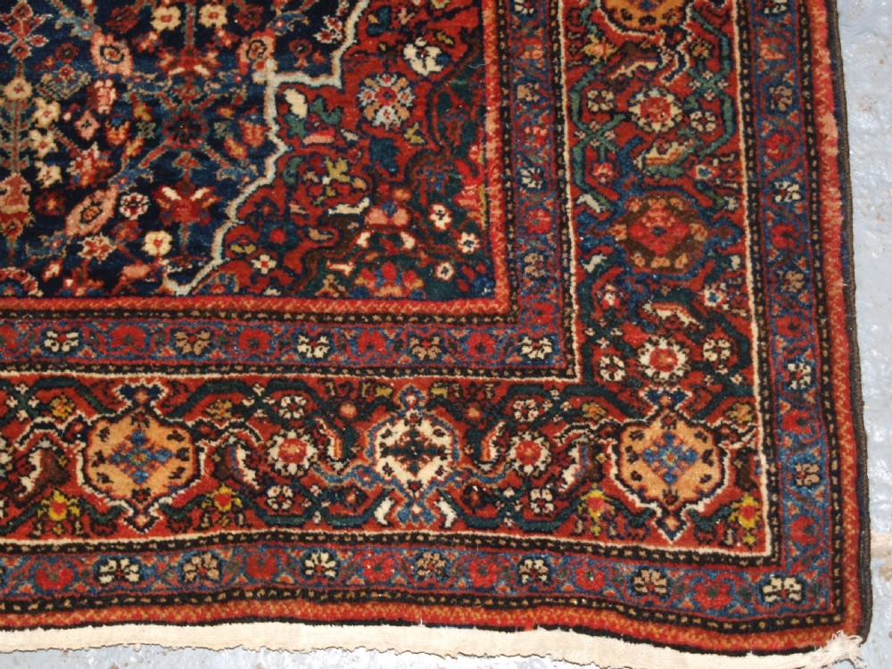 ANTIQUE PERSIAN FARAGHAN RUG WITH SHRUB DESIGN, FULL PILE WITH GREAT COLOUR. CIRCA 1900. View XIII