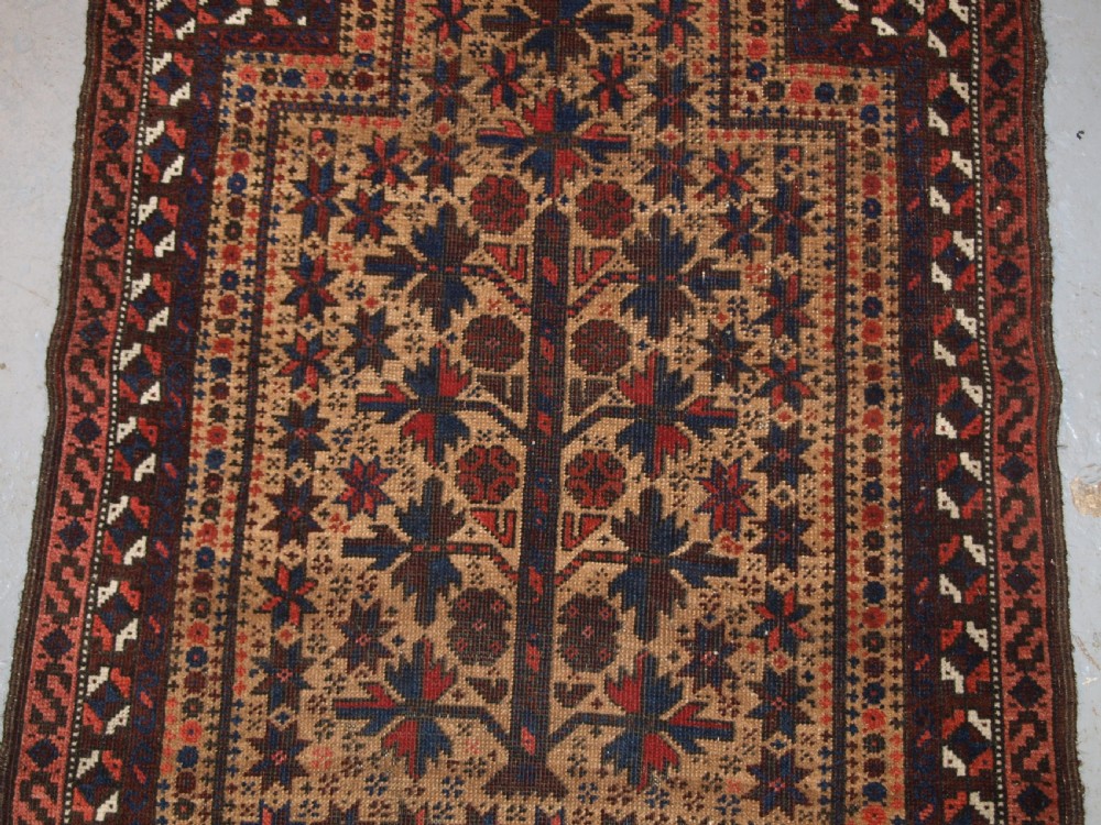 ANTIQUE AFGHAN BALUCH PRAYER RUG WITH TREE OF LIFE AND STARS, LATE 19TH CENTURY. View V