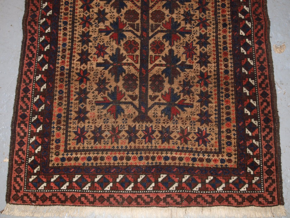 ANTIQUE AFGHAN BALUCH PRAYER RUG WITH TREE OF LIFE AND STARS, LATE 19TH CENTURY. View VI