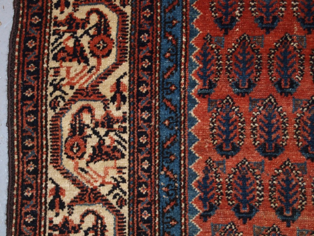 ANTIQUE SARABENT VILLAGE KELLEH LONG RUG WITH SHRUB DESIGN, CIRCA 1900. View III