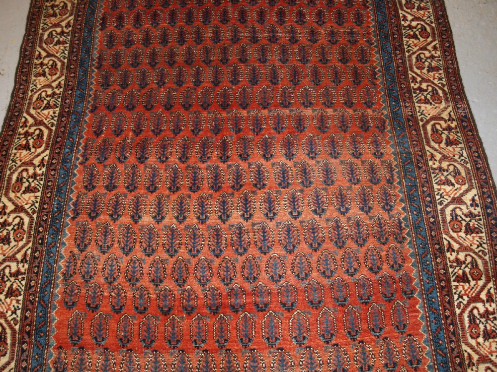 ANTIQUE SARABENT VILLAGE KELLEH LONG RUG WITH SHRUB DESIGN, CIRCA 1900. View V