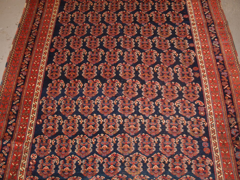 ANTIQUE LONG RUG BY THE AFSHAR TRIBE, BOTEH DESIGN, CIRCA 1890. View VI