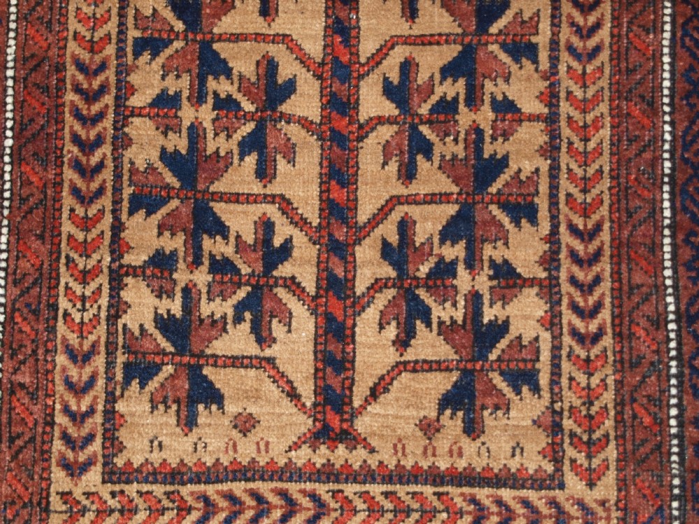 ANTIQUE BALUCH TREE OF LIFE PRAYER RUG, OUTSTANDING CONDITION, CIRCA 1900. View VIII