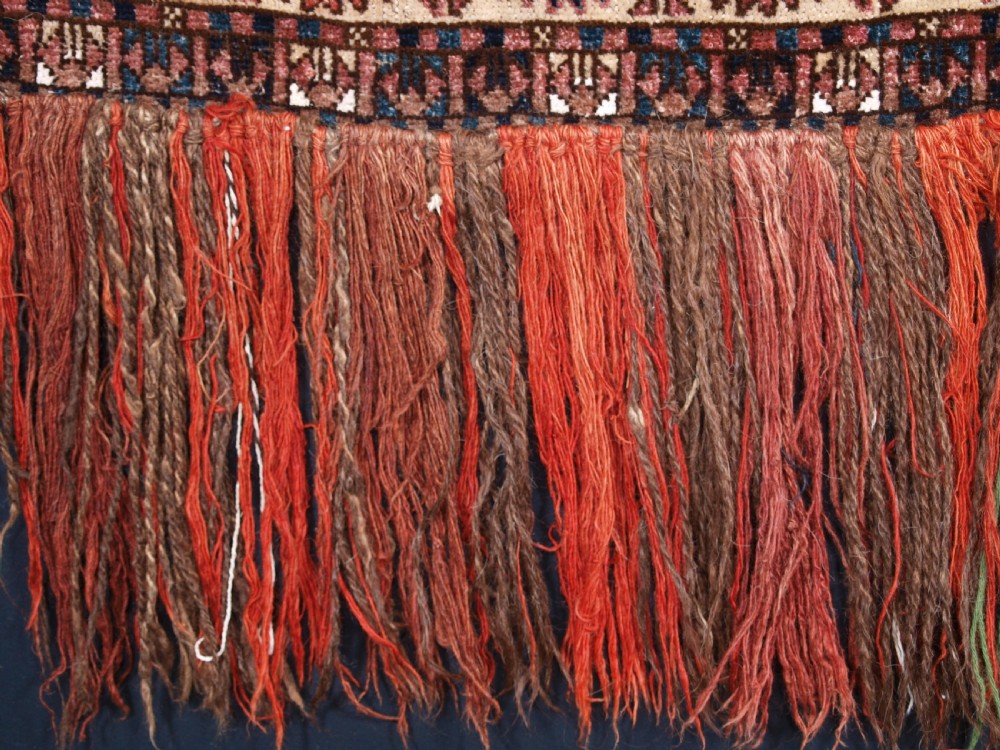 ANTIQUE ERSARI TURKMEN TORBA WITH UNUSUAL DESIGN, IVORY GROUND, CIRCA 1900. View IX