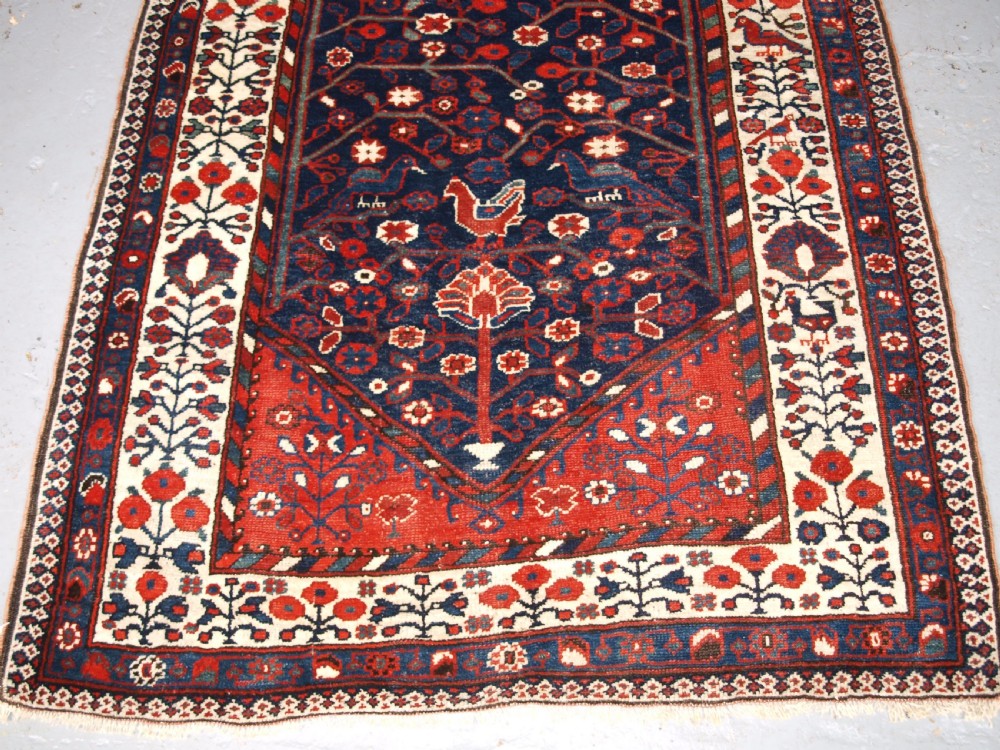 An antique hand-knotted Persian Luri rug featuring a dark navy field filled with stylised bird and floral motifs framed by a red surround and ivory floral border. View V