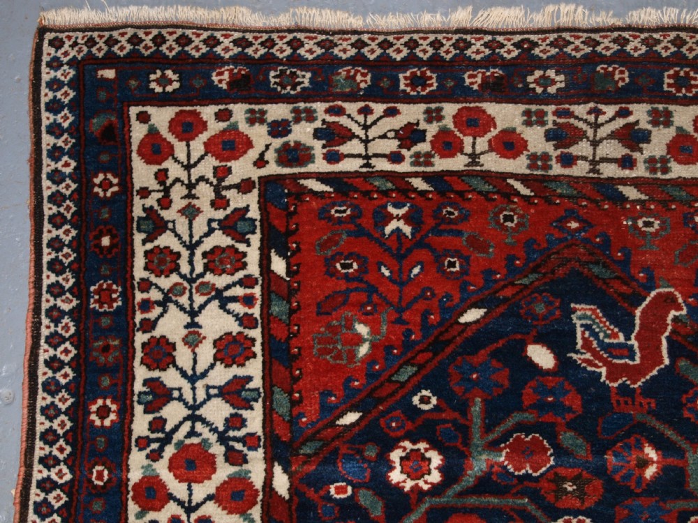 An antique hand-knotted Persian Luri rug featuring a dark navy field filled with stylised bird and floral motifs framed by a red surround and ivory floral border. View VI