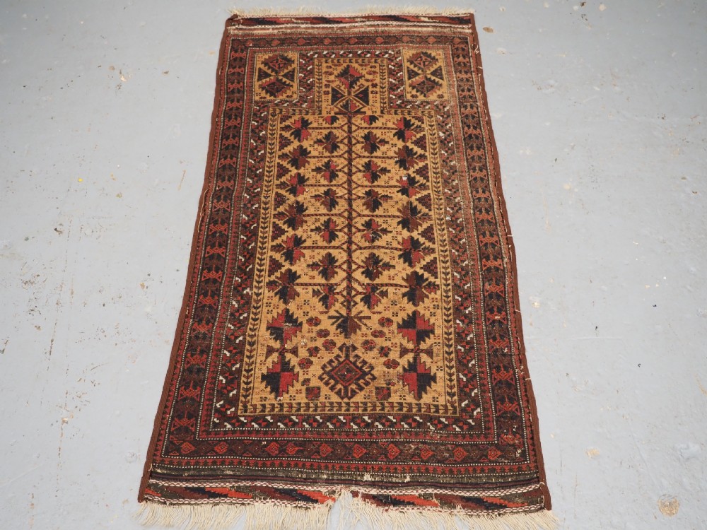 ANTIQUE SARAKH BALUCH PRAYER RUG, CAMEL GROUND TREE OF LIFE, CIRCA 1880. View XIV