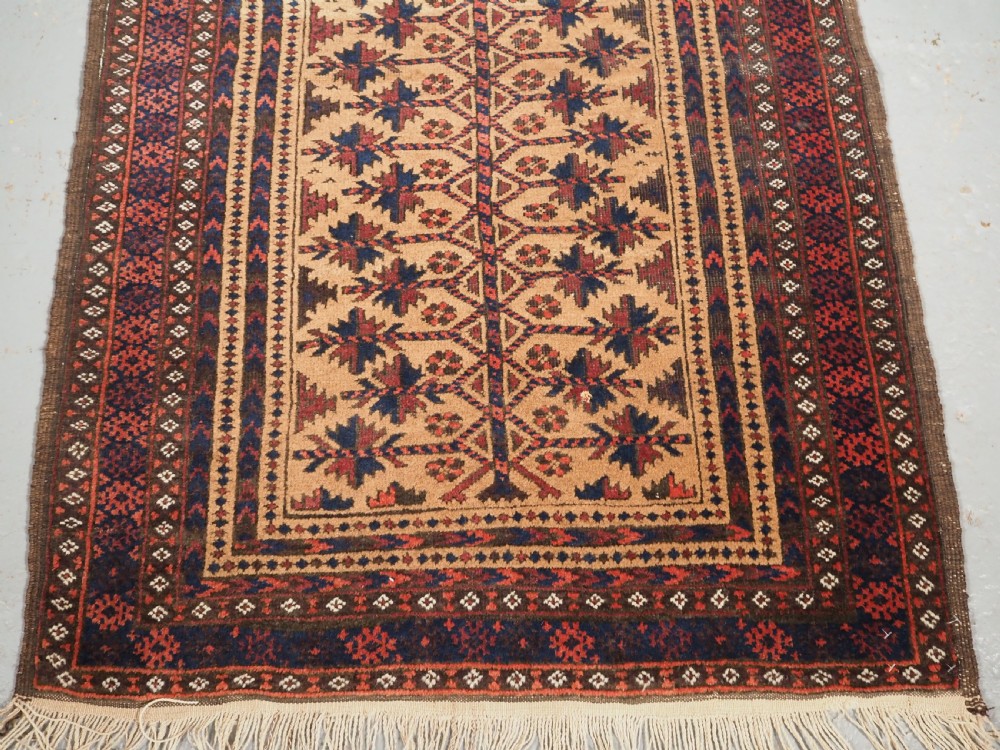 ANTIQUE BALUCH CAMEL GROUND PRAYER RUG WITH TREE OF LIFE, CIRCA 1900. View V