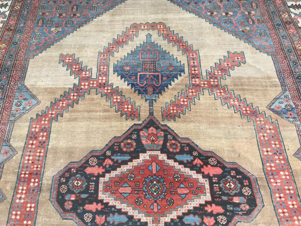 ANTIQUE BAKSHAISH VILLAGE CARPET, LARGE SIZE WITH CAMEL GROUND, CIRCA 1880. View VII