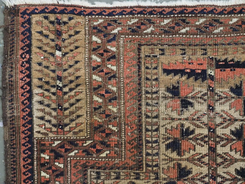 ANTIQUE BALUCH CAMEL GROUND PRAYER RUG WITH TREE OF LIFE. CIRCA 1880. View VI