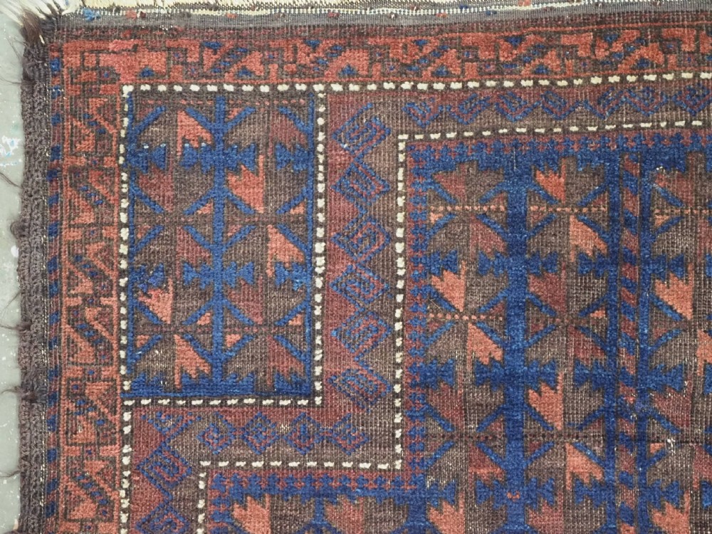 An antique Timuri Baluch wool prayer rug featuring a deep blue field woven with a repeating brown leaf motif and framed by geometric borders. View V