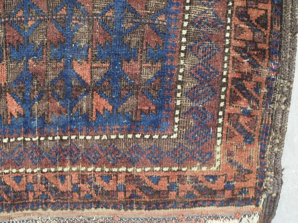 An antique Timuri Baluch wool prayer rug featuring a deep blue field woven with a repeating brown leaf motif and framed by geometric borders. View X