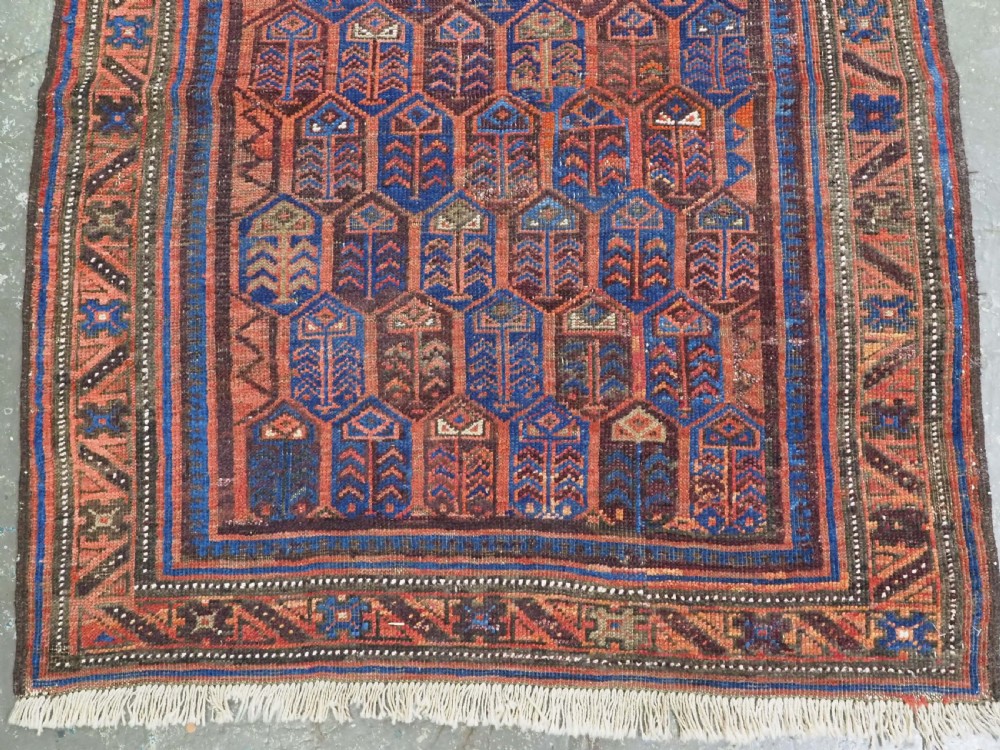 ANTIQUE TIMURI / BALUCH RUG WITH SHRUB DESIGN, WESTERN AFGHANISTAN, CIRCA 1880. View IV