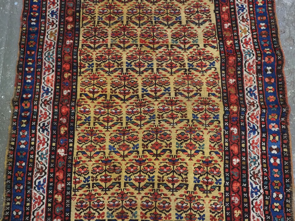 An antique hand-knotted Kurdish wool rug featuring a bright yellow central field with repeating red and blue shrub motifs enclosed within patterned borders. View III