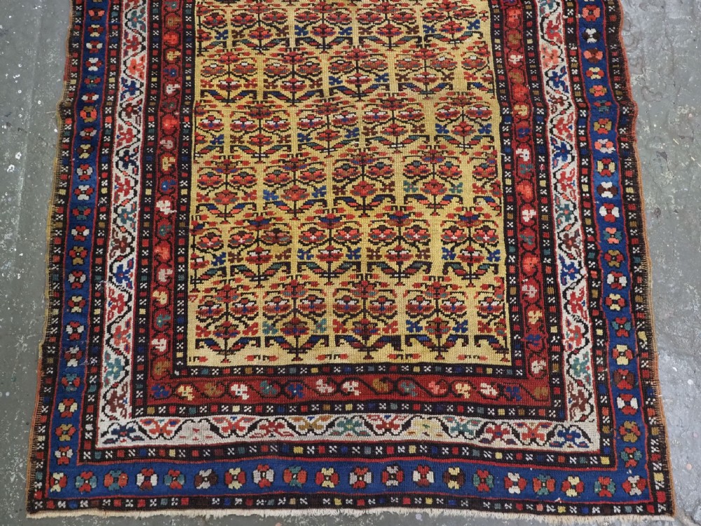 An antique hand-knotted Kurdish wool rug featuring a bright yellow central field with repeating red and blue shrub motifs enclosed within patterned borders. View IV