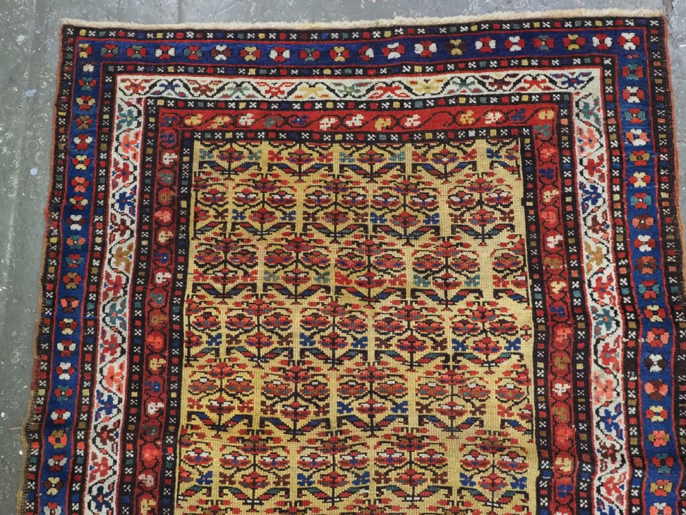 An antique hand-knotted Kurdish wool rug featuring a bright yellow central field with repeating red and blue shrub motifs enclosed within patterned borders. View VI