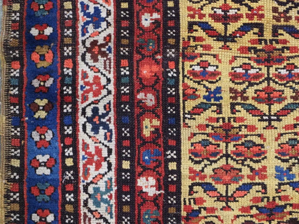 An antique hand-knotted Kurdish wool rug featuring a bright yellow central field with repeating red and blue shrub motifs enclosed within patterned borders. View VII