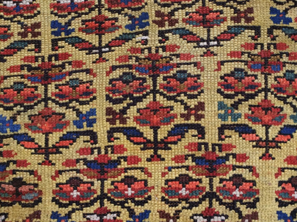 An antique hand-knotted Kurdish wool rug featuring a bright yellow central field with repeating red and blue shrub motifs enclosed within patterned borders. View X
