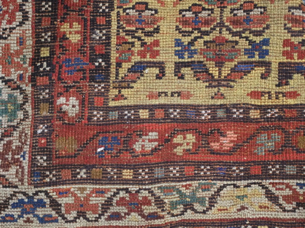 An antique hand-knotted Kurdish wool rug featuring a bright yellow central field with repeating red and blue shrub motifs enclosed within patterned borders. View XII