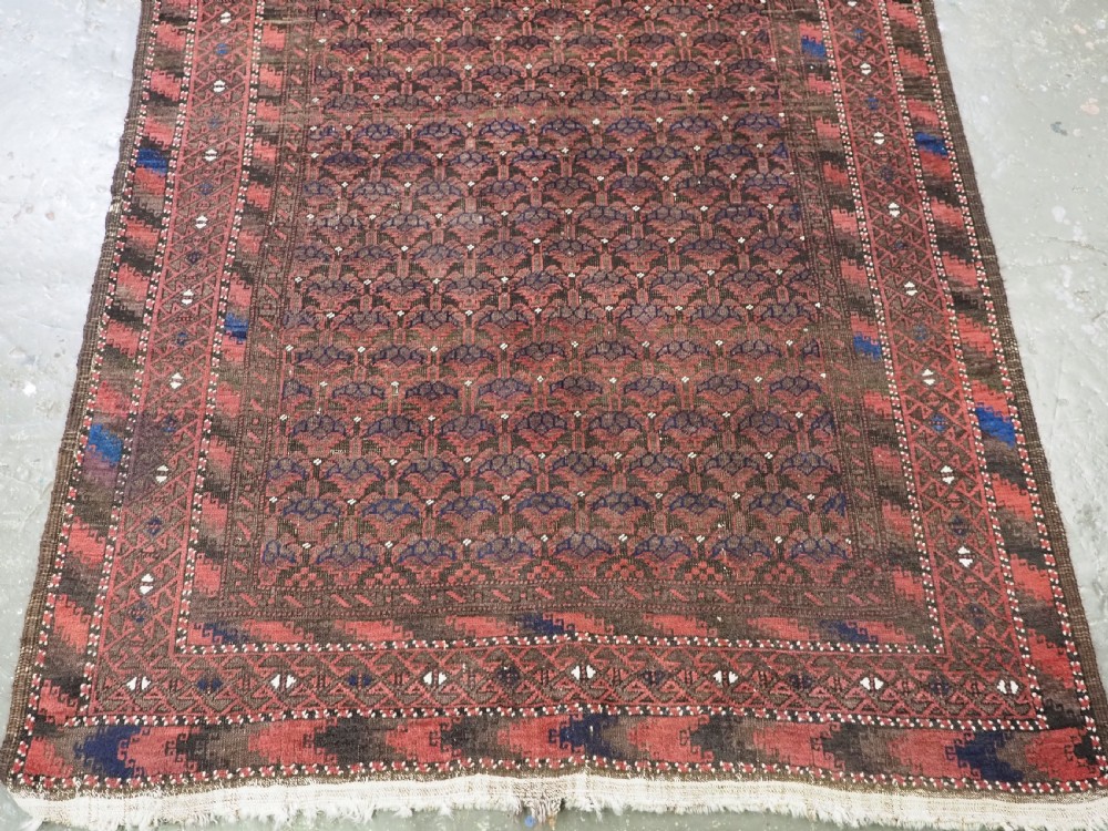 An antique hand-knotted Timuri Baluch wool rug featuring a dark red and brown field with a repeating small shrub design enclosed by geometric borders. View V