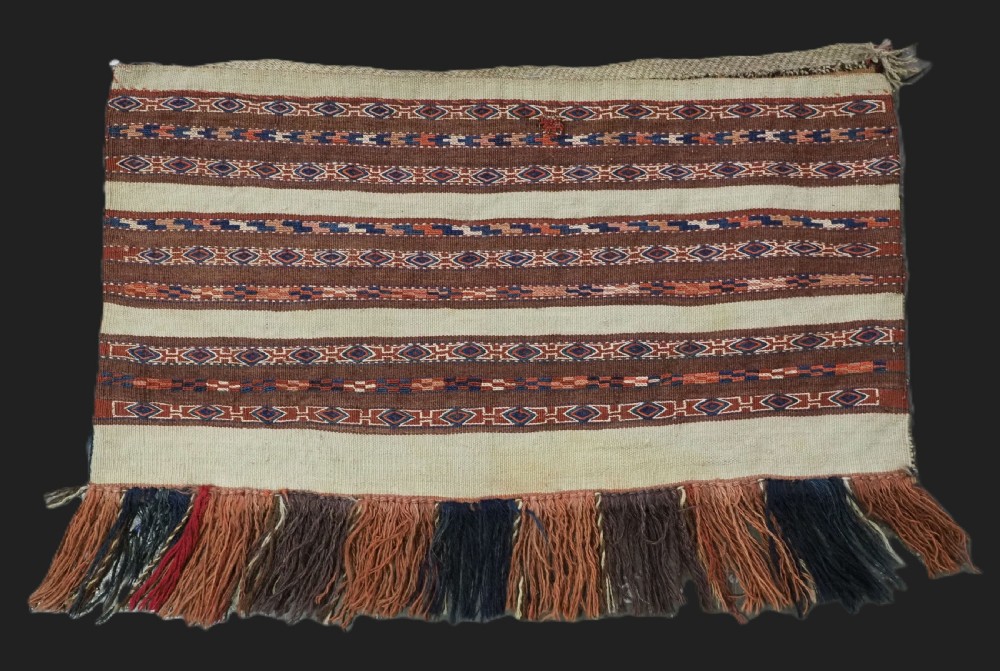 An antique hand-woven Turkmen flatweave textile panel featuring horizontal bands of geometric motifs in terracotta, dark blue, and brown on a cream background with long fringed trim.