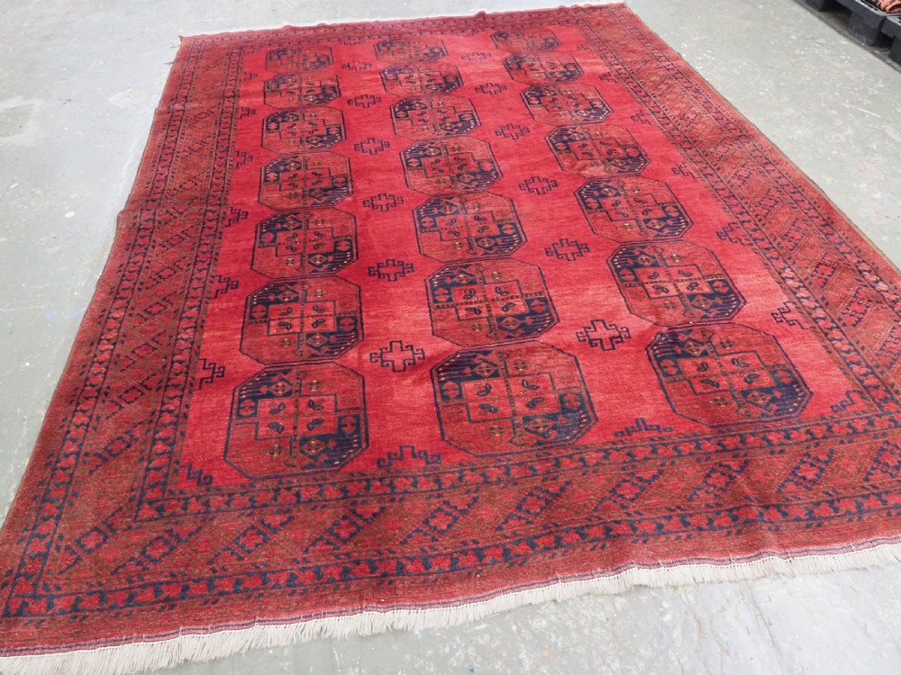 A hand-knotted antique Afghan wool carpet in warm red featuring dark blue repeating octagonal gul motifs and geometric borders. View II