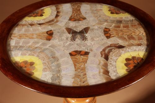A BRAZILIAN BUTTERFLY TABLE CIRCA 190020 - ADDITIONAL PHOTO 2