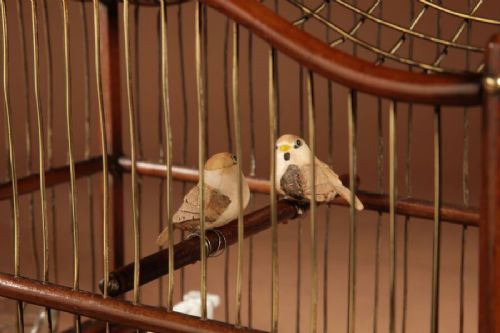 An Anglo-Dutch mahogany and brass birdcage featuring an arched wire dome roof, slide-out drawer tray, wooden perches, and accompanying glass vessels. View XIII