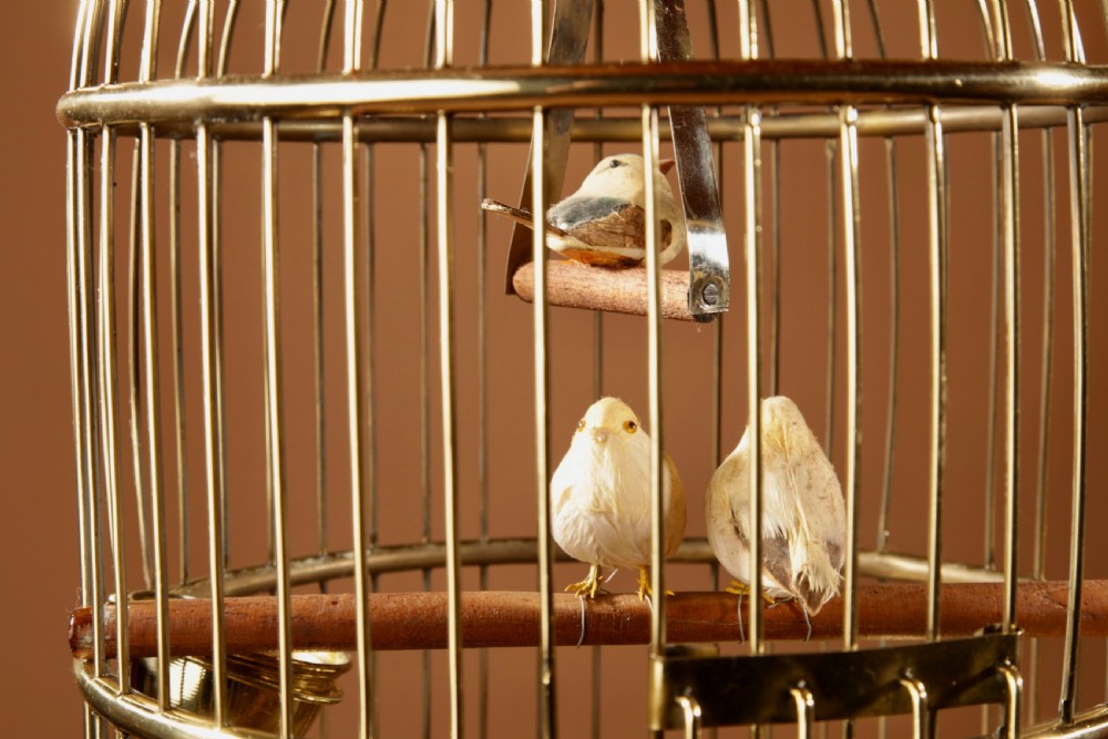 A polished round brass bird cage featuring a domed top, a dark turned wooden finial, and an interior perch with artificial birds. View III