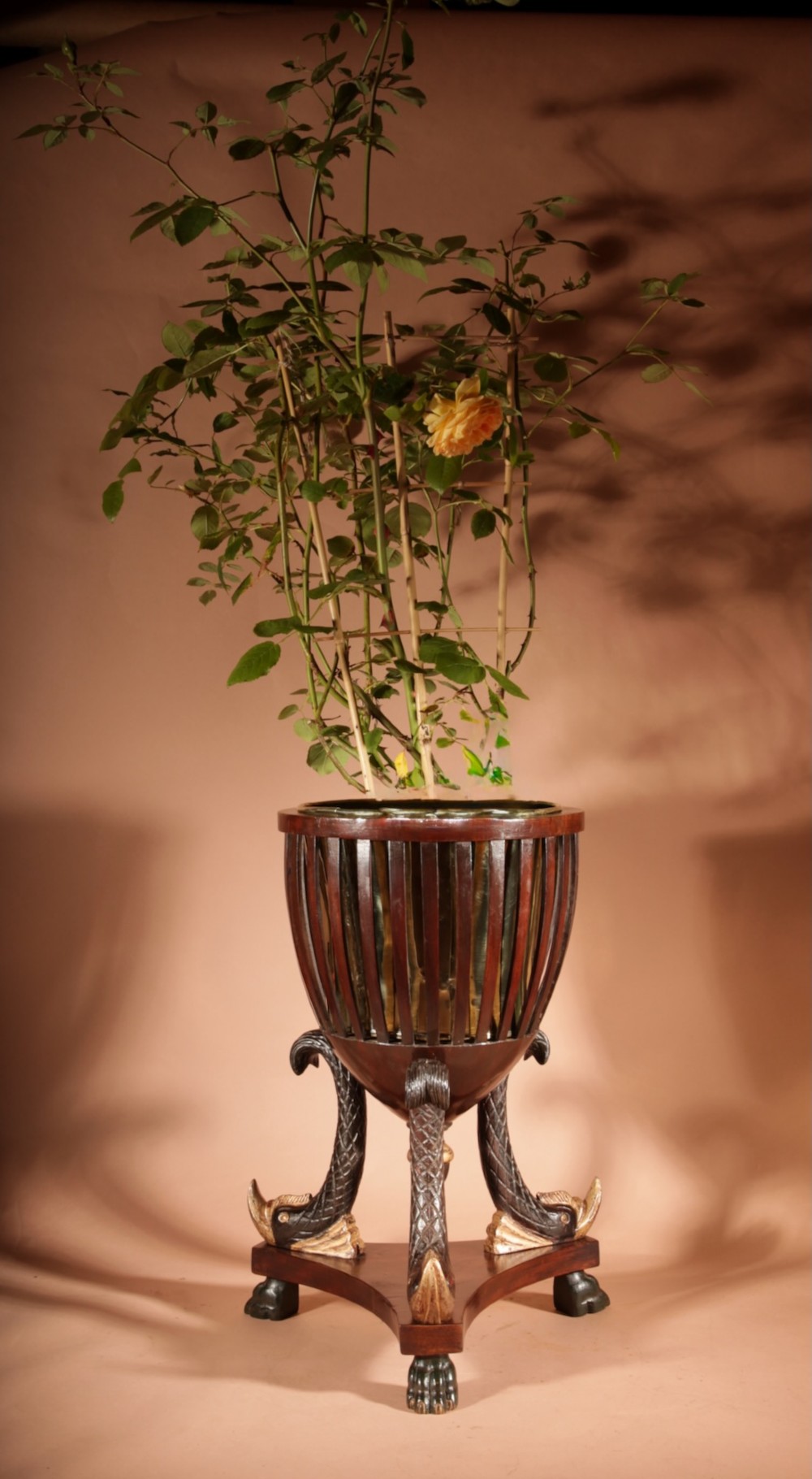 A French Empire mahogany slatted wine cooler featuring a brass liner and supported by three carved ebonised dolphin legs on a triform base with paw feet. View X