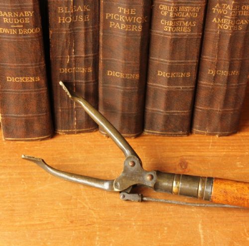 19th Century Mahogany Library Grabber / Book Shop Reacher.