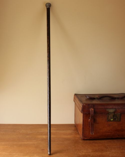 fig 1. Victorian Coromandel & Silver Walking Stick Cane