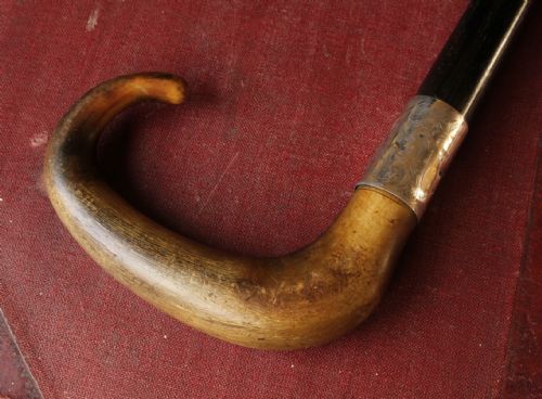 fig 2. Horn, Silver & Ebony Jonathan Howell Walking Stick