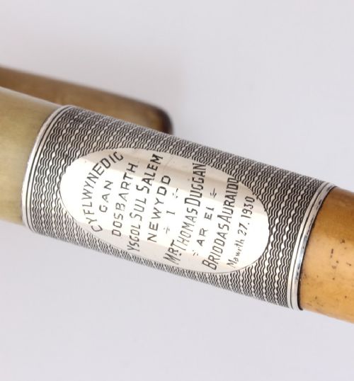 fig 2. Crook Horn Handle & Silver Walking Stick