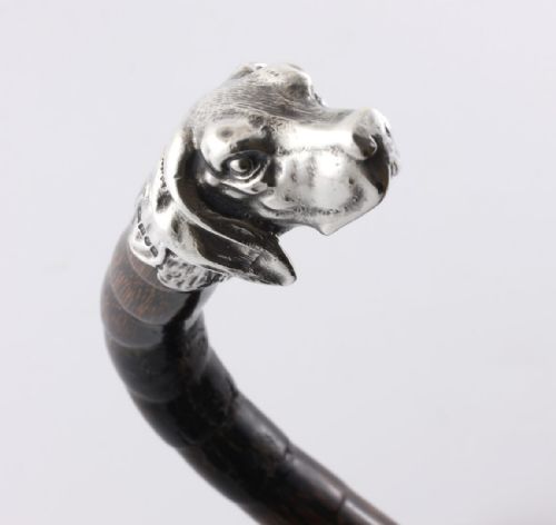 fig 1. Silver Dog Handle & Bamboo Walking Stick Cane. Henry Howell 1903.