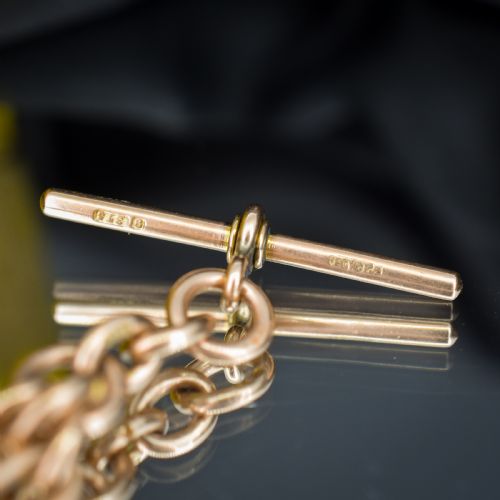 fig 1. Antique '1899' 9ct Gold Trombone Link Albert Chain Necklace with Dog Clip and T-bar | 13.75